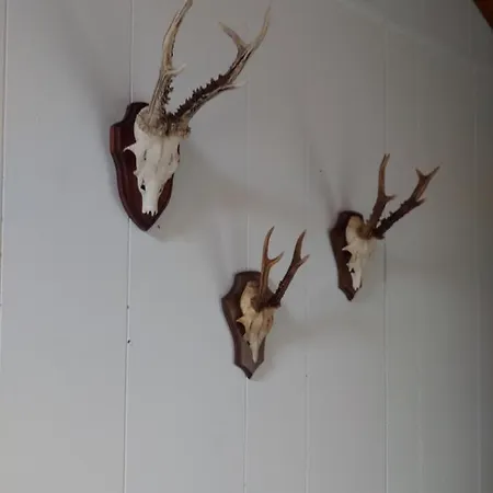 172 - La Boverie Rendeux