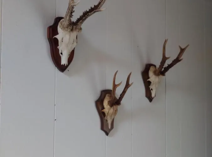 172 - La Boverie Rendeux